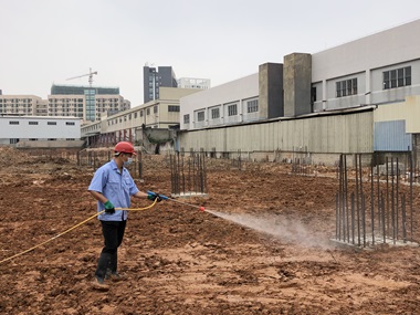 勒流白蚁备案——地基防白蚁该怎么做才靠谱