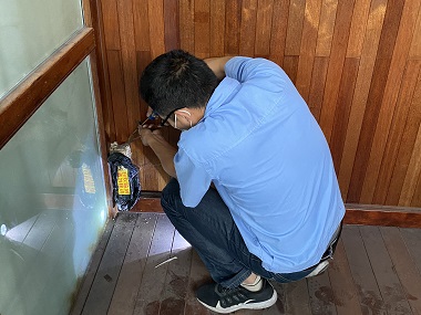 伦教白蚁控制中心正确的灭蚁方式是什么