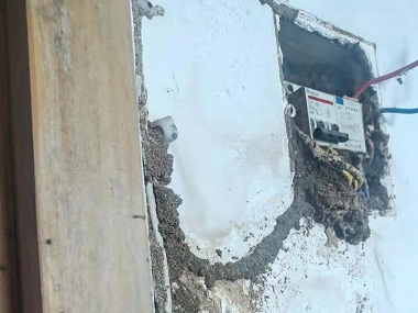 顺德白蚁预防机构为什么居住的房屋里会有白蚁